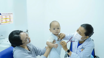Public-private partnerships in comprehensive healthcare for women and children.