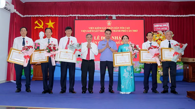 La Orden del Trabajo fue otorgada a antiguos líderes de la Fiscalía Popular de la ciudad de Can Tho (anteriormente), la provincia de Soc Trang (anteriormente) y la provincia de Hau Giang (anteriormente).