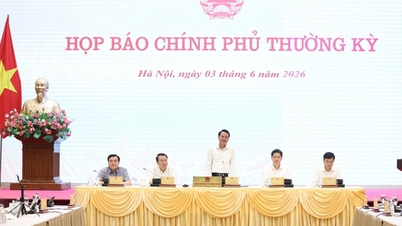 សេចក្តីសង្ខេប៖ សន្និសីទសារព័ត៌មានរបស់រដ្ឋាភិបាលជាប្រចាំក្នុងខែឧសភា៖ ខ្លឹមសារនៃសន្និសីទសារព័ត៌មាន។