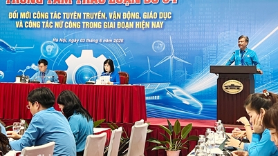 El sindicato de Dong Nai compartió numerosas experiencias de sus actividades en el XIV Congreso Nacional de los Sindicatos de Vietnam.
