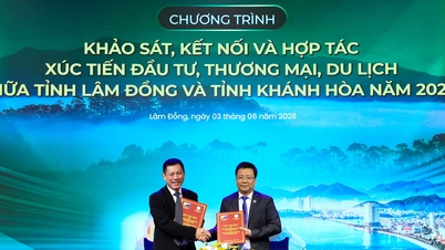 Las provincias de Lam Dong y Khanh Hoa unen fuerzas para ampliar los vínculos en materia de inversiones, comercio y turismo.