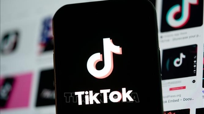 TikTok वियतनाम के लॉजिस्टिक्स और डिजिटल वित्त क्षेत्रों में निवेश करने में रुचि रखता है।
