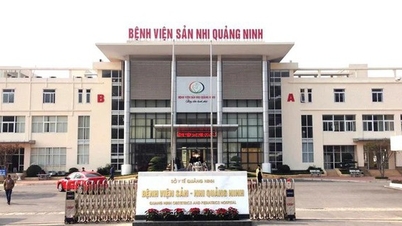 El Hospital de Obstetricia y Pediatría de Quang Ninh proporciona información sobre el incidente en el que se vio involucrada una empleada en período de prueba.