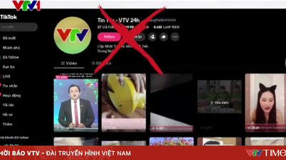 多くのチャンネルやファンページがVTVになりすましてギャンブルを宣伝し、誤解を招くようなコンテンツを拡散している。