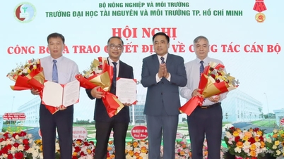 Le professeur agrégé Dr. Huynh Quyen continue d'exercer les fonctions de recteur de l'Université des ressources naturelles et de l'environnement de Hô Chi Minh-Ville.