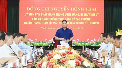 Provinční tajemník strany Nguyen Hong Thai pracuje se 6 volebními obvody v oblasti Thuan Thanh.
