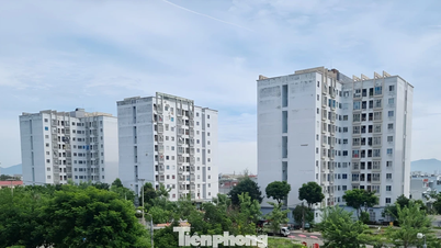 Da Nang offers social housing for rent starting from 54,000 VND/m2/month.