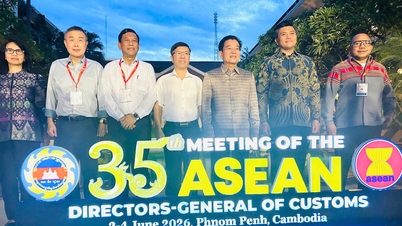 Le Vietnam continue de coopérer activement à la mise en œuvre des engagements des douanes de l'ASEAN.