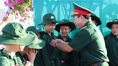 Unge soldater i Da Nang melder sig ivrigt til tjeneste og oplever en sommer i militæret.
