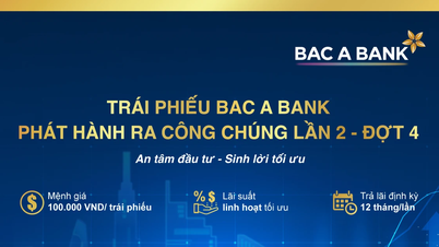BAC A BANK continue d'émettre des obligations, permettant ainsi à ses clients d'accumuler des actifs sûrs et de maximiser leurs rendements.