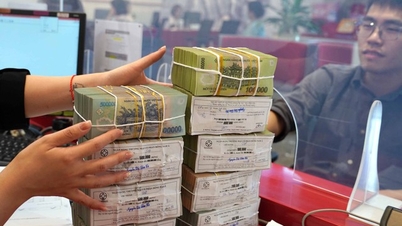 Cục Thuế hướng dẫn chi tiết khai, tính thuế khi cho thuê nhà