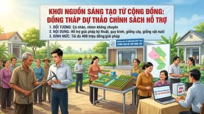 El Departamento de Ciencia y Tecnología de la provincia de Dong Thap solicita comentarios sobre las políticas de apoyo a las actividades creativas no profesionales.