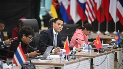 Vietnam, Mekong-ABD Ortaklığı Üst Düzey Yetkililer Toplantısı'na eş başkanlık yapıyor.