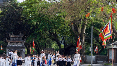 Provincie Ninh Binh žádá o urychlení plánovacího procesu pro zachování, obnovu a rehabilitaci starobylého hlavního města Hoa Lu.