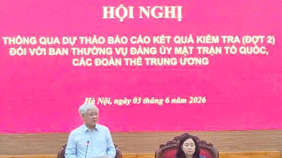 베트남 조국전선 당위원회 상무위원회 및 중앙 대중조직 시찰 결과 보고서 초안 승인.