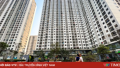 建設省：主要都市における賃貸住宅の開発。