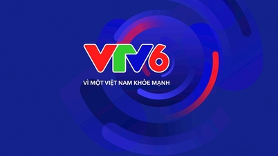 Se ha concedido la licencia de funcionamiento al canal deportivo VTV6.