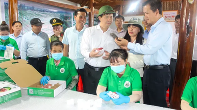 Le secrétaire du Parti de Hô Chi Minh-Ville, Le Quang Tung, mène une enquête de terrain dans la commune de Cu Lao Dung.