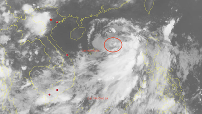 The South China Sea is expected to experience its first tropical depression of 2026.