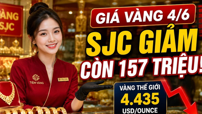 Gold prices today, June 4th: Will SJC, BTMC, DOJI, and PNJ gold continue to fall?