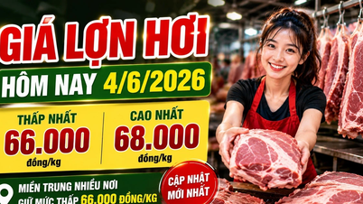 Ceny vepřového masa dnes, 4. června: Střední Vietnam má stále nejnižší ceny v zemi.