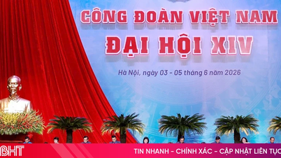 This morning, the 14th National Congress of the Vietnam Trade Union was solemnly inaugurated.
