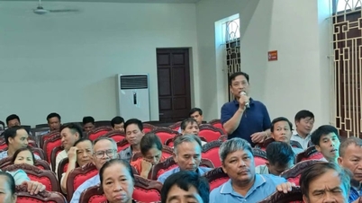 My Loc-distriktet, i den nyligen omorganiserade Ninh Binh-provinsen (tidigare en del av Nam Dinh-provinsen), kommer endast att ha 15 bostadsgrupper efter omorganisationen och sammanslagningen.