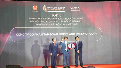 Le groupe Meey figure parmi les 10 entreprises les plus performantes en matière de transformation numérique dans le secteur immobilier vietnamien.