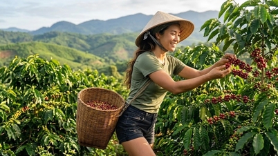 Precios del café hoy, 4 de junio: El mercado se recupera y muestra signos positivos.