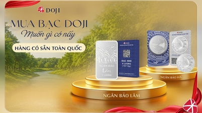 Investiți în argint convenabil cu ajutorul sistemului național de distribuție DOJI.