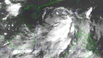 Pronóstico del tiempo para hoy (4 de junio): Depresión tropical sobre el Mar del Este.