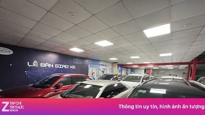Каким будет рынок подержанных автомобилей после официального начала продаж бензина E10?