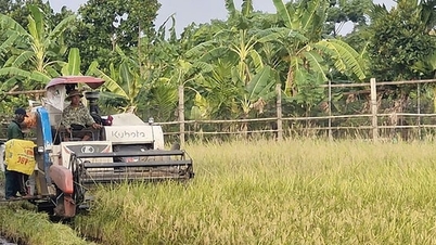 Berita khusus di surat kabar Hanoi Moi, 4 Juni 2026.