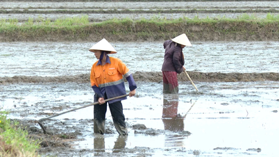 ວາງແຜນຢ່າງຫ້າວຫັນສຳລັບການຜະລິດພືດລະດູຮ້ອນ-ລະດູໃບໄມ້ร่วง.