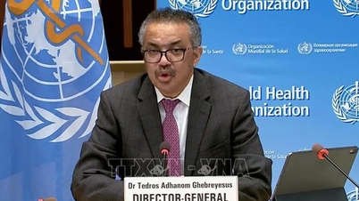 Ebola-Ausbruch: WHO warnt vor seltenem Virusstamm, der sich in Zentralafrika rasant ausbreitet.