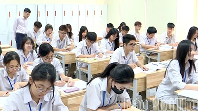 Tighten control over tutoring and supplementary classes.