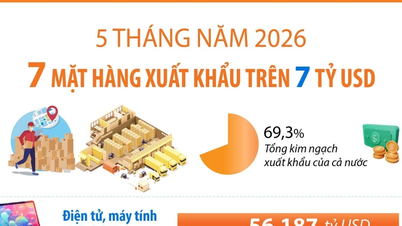 Μάιος 2026: 7 εξαγωγικά είδη ξεπερνούν τα 7 δισεκατομμύρια δολάρια.