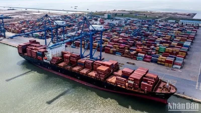 Việt Nam duy trì đà tăng trưởng ấn tượng