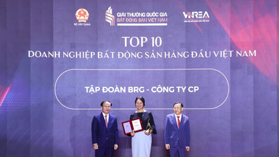 BRG Group og North Hanoi Smart City Company modtager store priser.