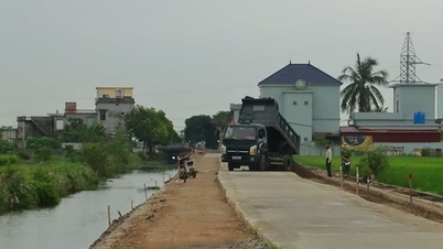 La comuna de Dong Hung, en la recién creada provincia de Hung Yen (anteriormente parte de la provincia de Thai Binh), está preparando un buen suministro de tierras limpias para este importante sector.