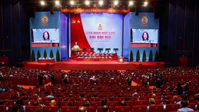 Sindicatele internaționale transmit mesaje de felicitare celui de-al 14-lea Congres al Sindicatului din Vietnam.