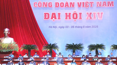 ເຜີຍແຜ່ນ້ຳໃຈສາມັກຄີສາກົນໃນກອງປະຊຸມໃຫຍ່ຄັ້ງທີ 14 ຂອງສະຫະພັນແຮງງານຫວຽດນາມ.