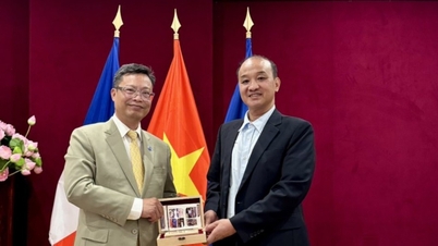 Da Nang encourage la coopération avec ses partenaires français en matière d'aménagement du territoire et d'infrastructures.