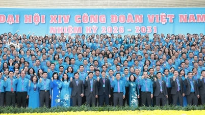Ucapan selamat dari teman-teman internasional untuk Kongres ke-14 Serikat Buruh Vietnam.