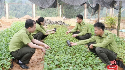 ປະຕິບັດມາດຕະການທີ່ເດັດຂາດເພື່ອອະນຸລັກປ່າໄມ້ສີຂຽວ.