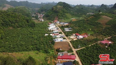 ໝາກໄມ້ຫວານຈາກດິນແດນອຽນເຊີນ