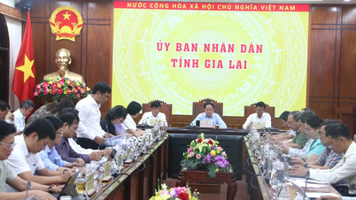 Gia Lai: Los ingresos presupuestarios totales en los primeros 5 meses aumentaron en más del 38% en comparación con el mismo período de 2025.
