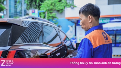Chatbot Q&A about E10 gasoline