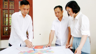 Bac Ninh baut dringend eine Landdatenbank auf.