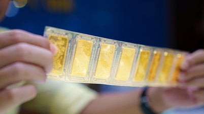 Viele Menschen machen sich Vorwürfe, weil sie vor drei Monaten Goldbarren und Goldringe von SJC gekauft haben.